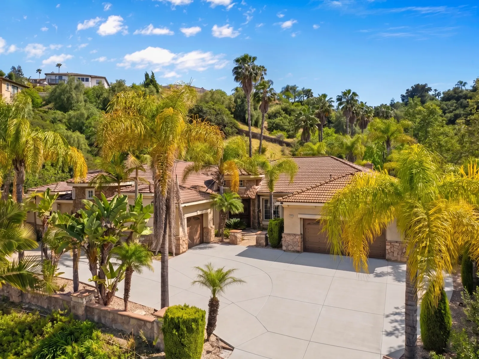 Palm-lined circular driveway
